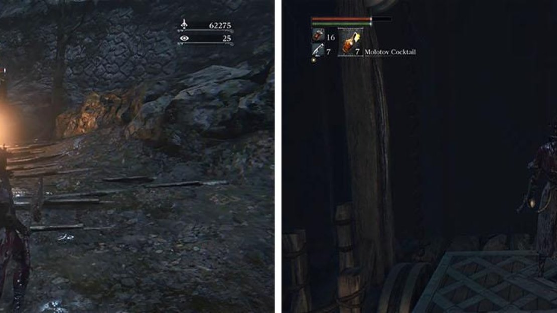 The path behind the Snake Parasite leads to another shortcut, this one to the windmill.