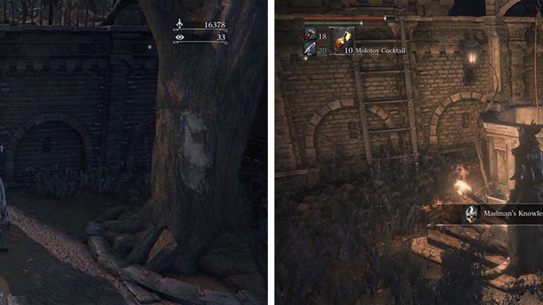 Open the shortcut to Central Yharnam and then grab the Madman’s Knowledge by the well.