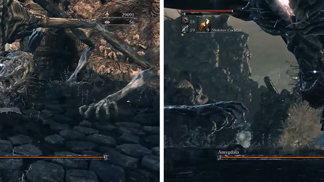 Wait for Amygdala to use a combo attack and present his head close to the ground (left) or strike after he pukes acid (right).