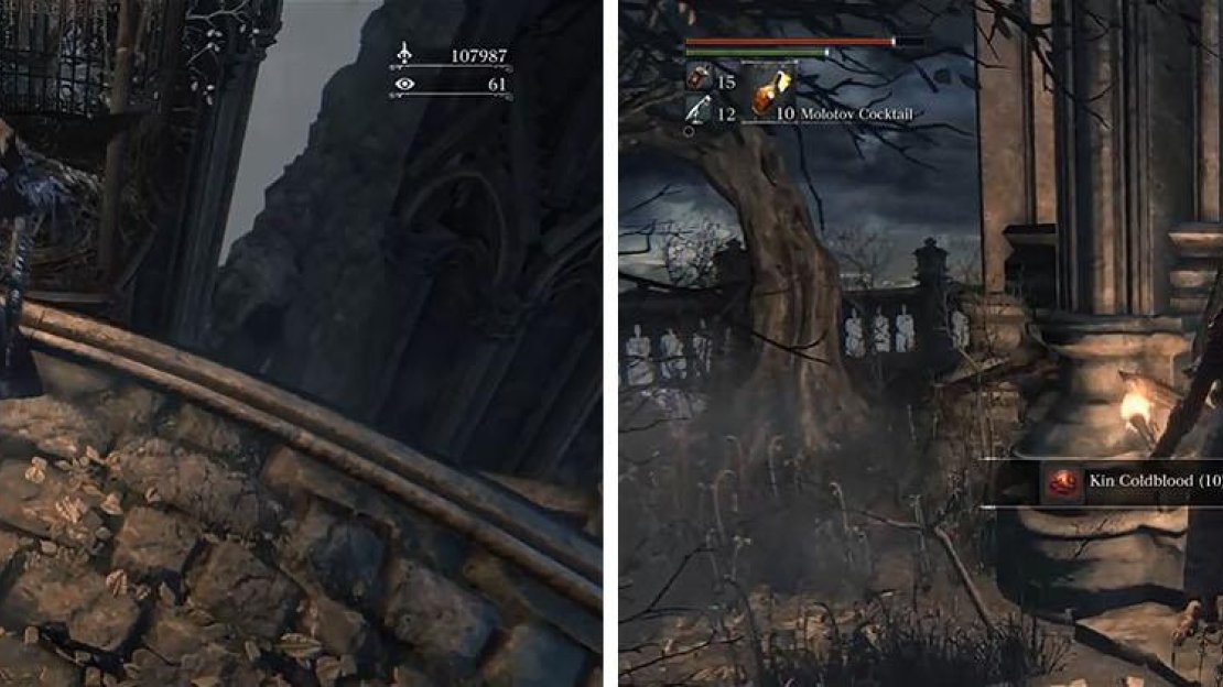 Make sure to get the Blood Gem from the hanging cage and the Kin Coldblood (10).