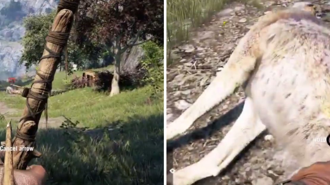 Killing wild animals with a bow or your knife will get you a clean kill bonus, netting you two skins instead of one.