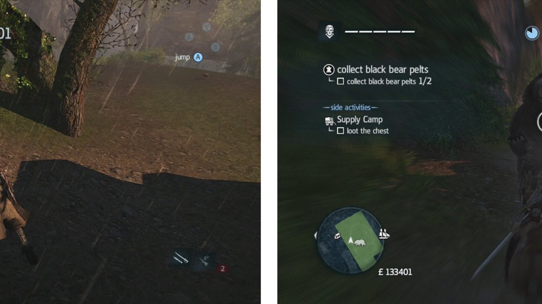 Most animals will run away if they detect you (left). Others such as bears will attack (right).
