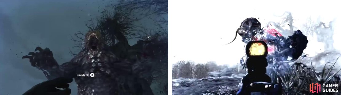 When the bear is stunned, its weak spot will appear red (right).