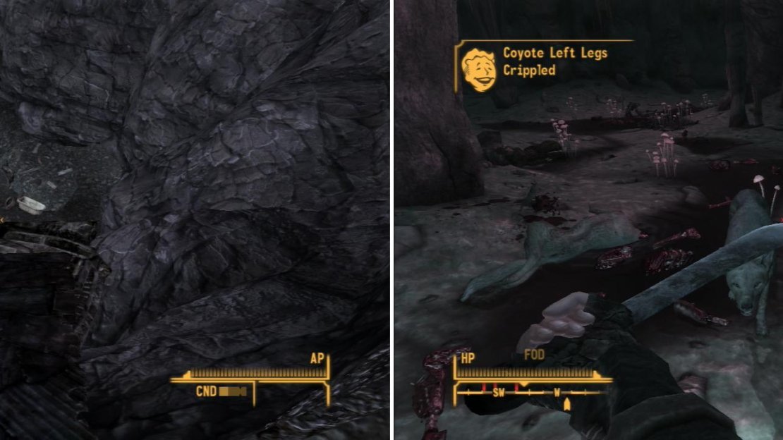Descend into the Devil’s Gullet by using a precarious ramp made of ruined vehicles and scrap (left). In the Goodpsrings Cave you’ll find a pack of Coyotes guarding some corpses (right).