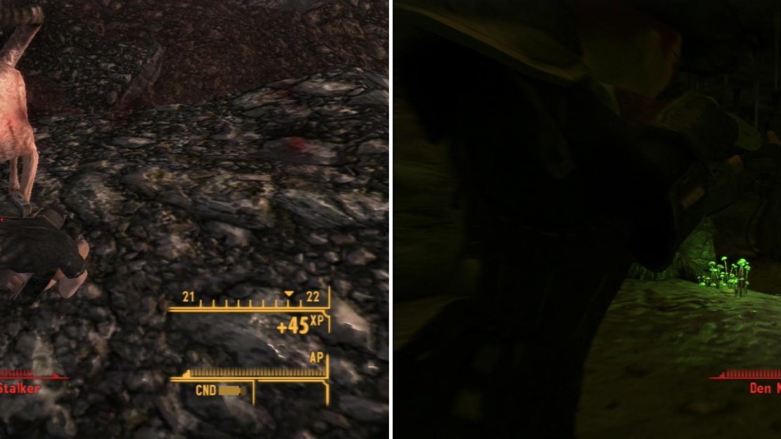 Night Stalkers lurk in and around Morning Star Cavern (left), led by their uncommonly powerful Den Mother (right).