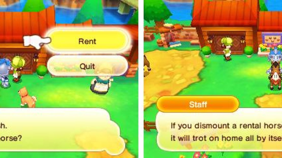 Rental horses have amazing business sense.