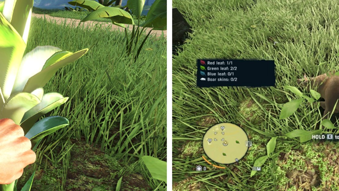 You will need to harvest some plants, as well as kill and skin two boars to get the necessary materials Dennis asked you to get.