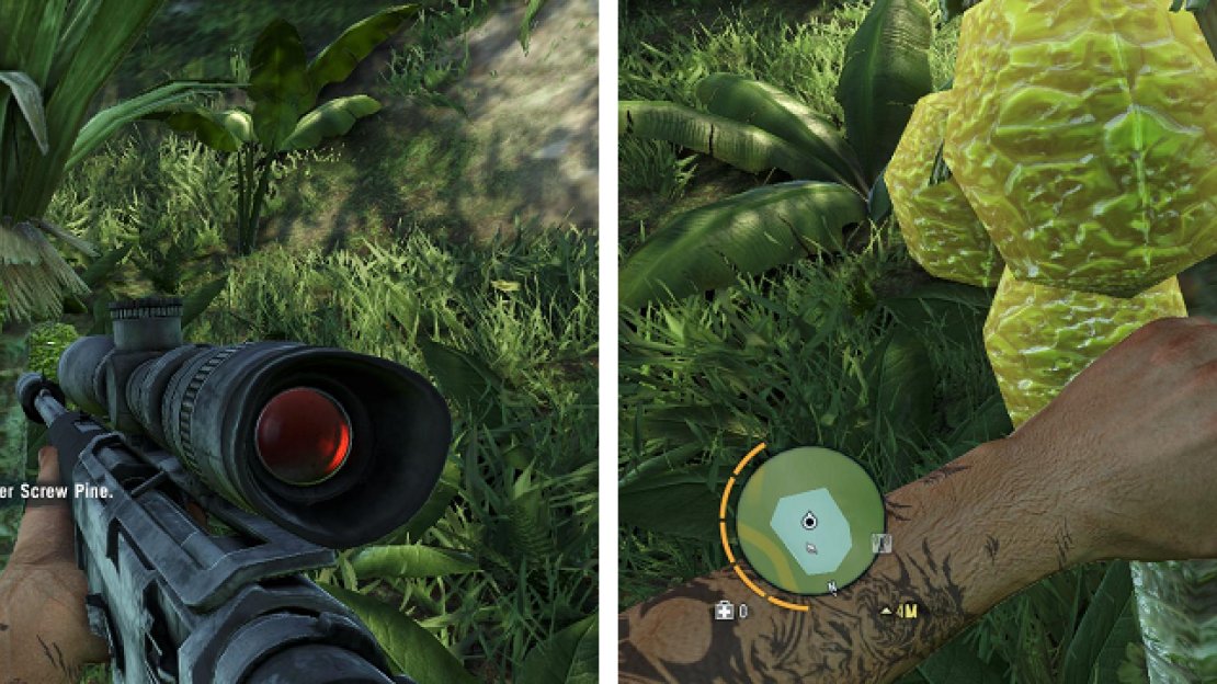While this mission is fairly easy, the last harvest spot has a bear nearby, so be prepared to kill it.