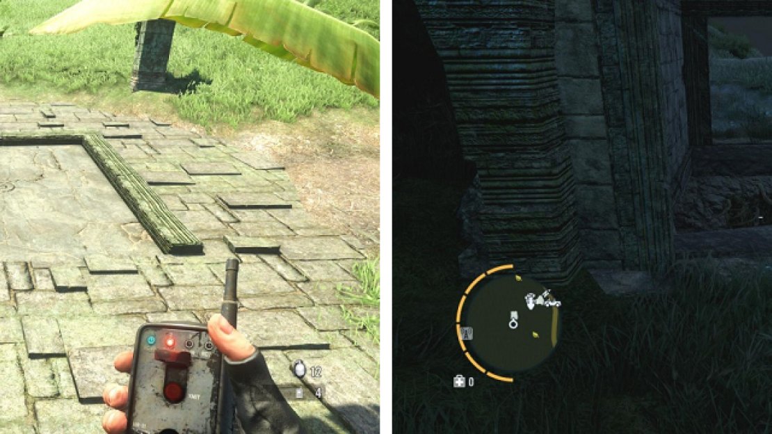 The stone door on the ground that leads to Relic 71 (left), as well as the structure with the vine that leads down to Relic 78 (right)