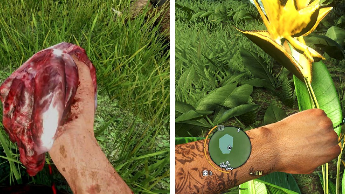 Killing and skinning animals will allow you to craft equipment, while harvesting plants will allow you to make syringes.
