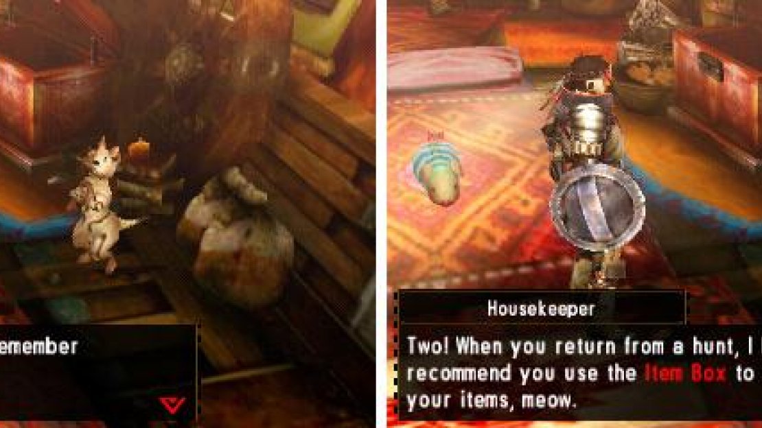 You helpful Housefelyne is full of helpful tips.