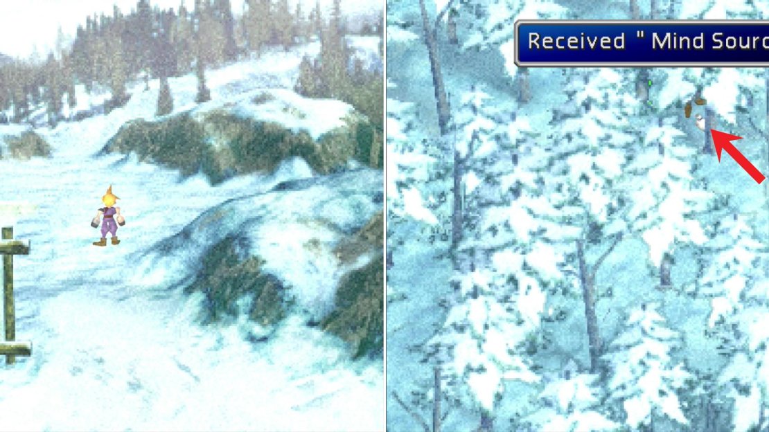 If you went left then right during the snowboarding mini-game, you’ll end up at the Entrance area (left). Grab the Mind Source hidden in the Forest area (right).