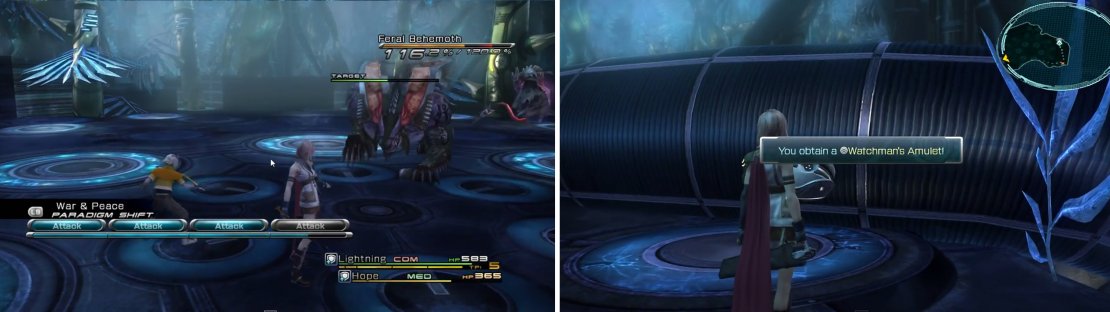 Feral Behemoth. (left) Watchman&rsquo;s Amulet (right).