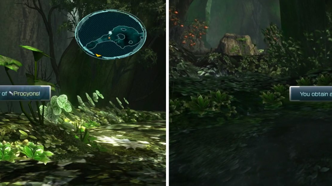 Don’t miss both the Procyons (left) and Doctor’s Code (right).