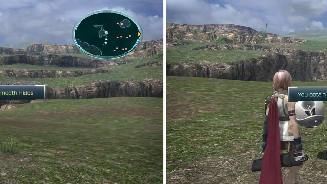 8x Smooth Hides location (left) and an Ice Charm (right).