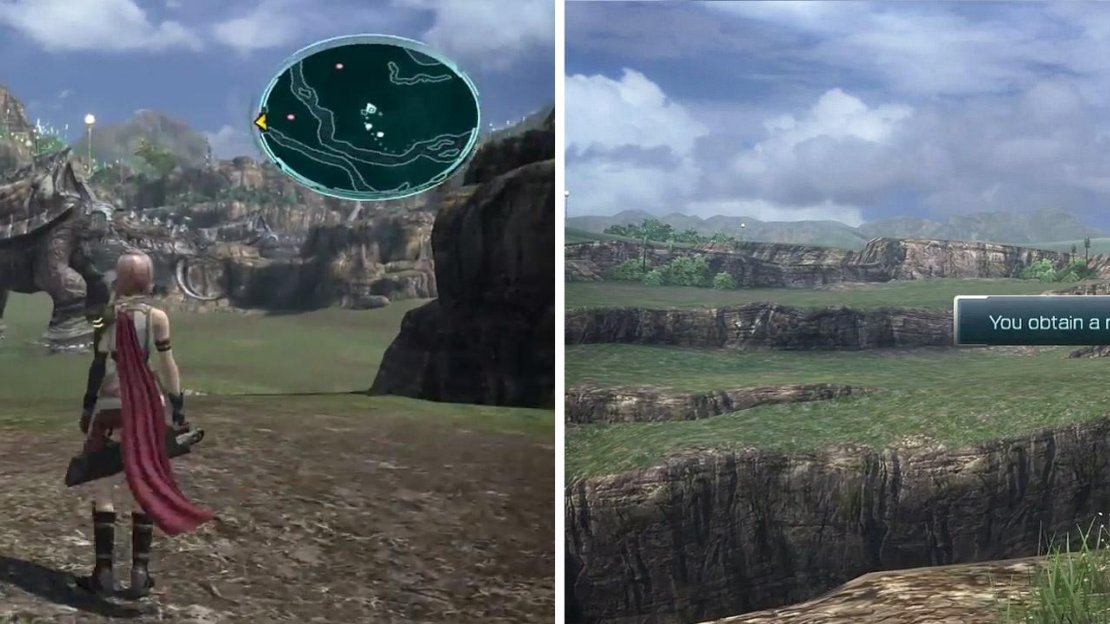 Amphisbaena monster (left) and a Millerite location (right).