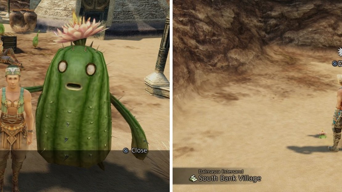 The Cactoids are just looking for their family (left). Dran can be found behind the one hut in South Bank Village (right).