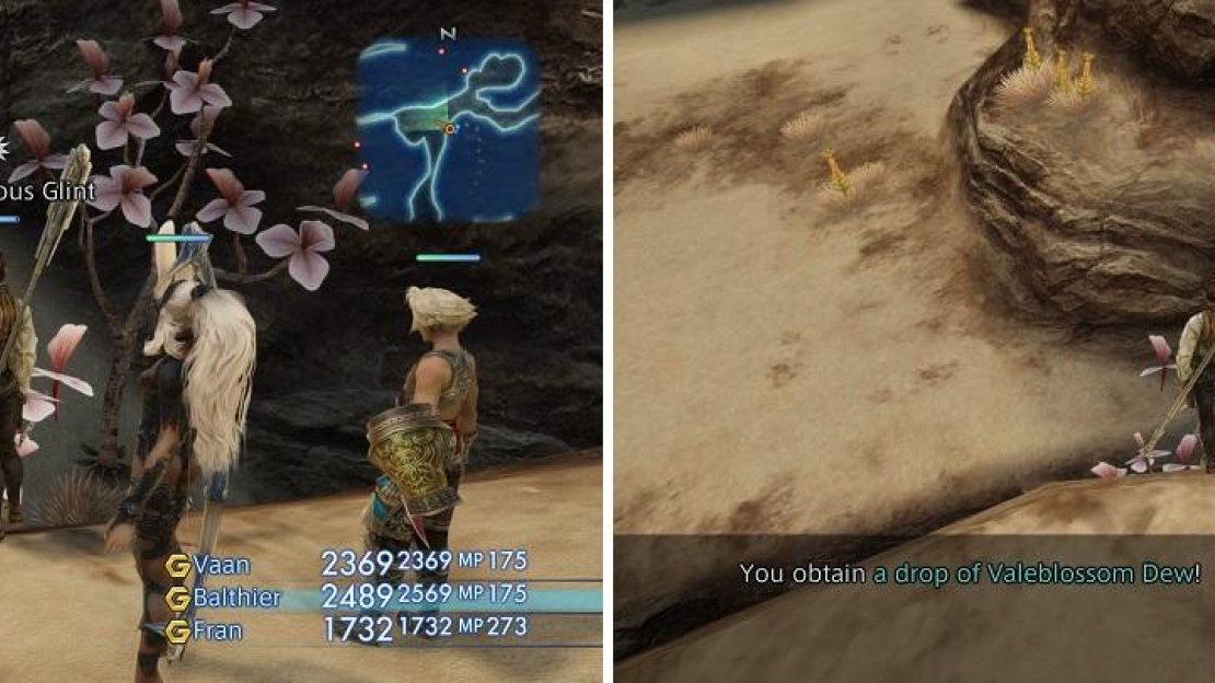 The Mysterious Glints you find near the pink plants (left) will yield the Valeblossom Dews you need for the Patient in the Desert sidequest (right).