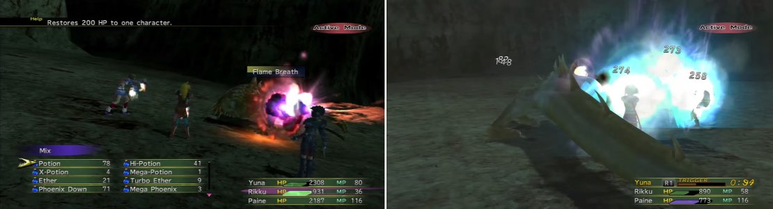 Like the Flame Dragon earlier in the game, Zalamander can use Flame Breath (left) but he he also has a Tail Smash (right). Protect is a must in this battle.