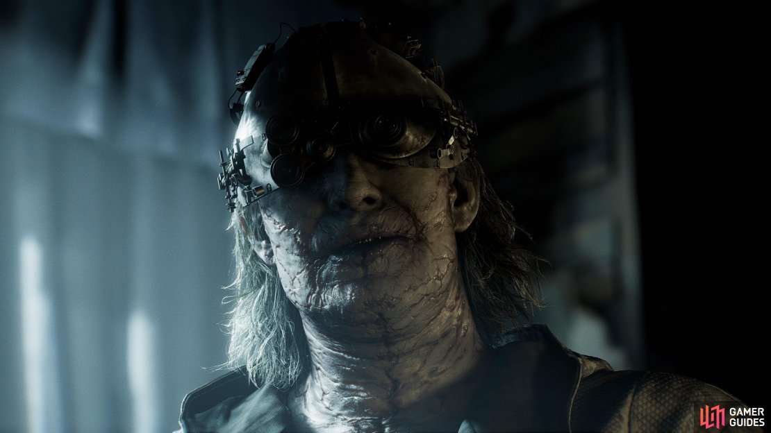The level of detail in every scene and level is unmatched by virtually anything else available right now.