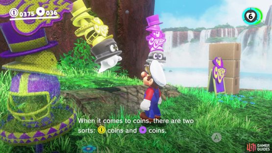 Yellow coins can be used everywhere, while purple coins are specific to each kingdom