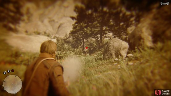 Use Dead Eye from distance to take the bear out with six shots
