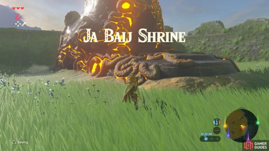 The shrine and its surrounding area is a safe zone from any Guardians