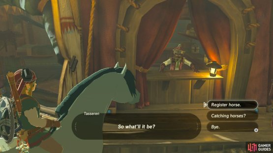 As you can see, we didn&rsquo;t have enough stamina for the last horse so we settled for this one.