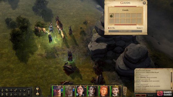 Search around west of the chasm to find a Taldan Warrior&rsquo;s Dog Tag,