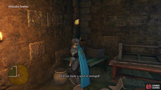 you’ll find a Seed of Strength in the first locked room.
