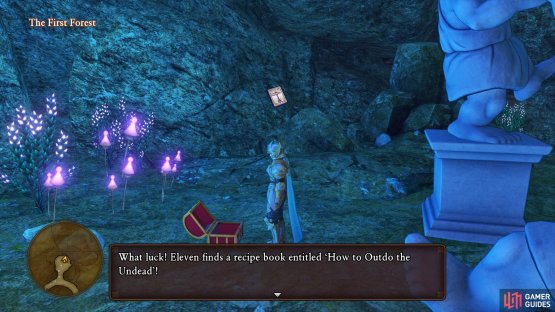 while you&rsquo;ll find a Recipe Book in the chest inside the cave.
