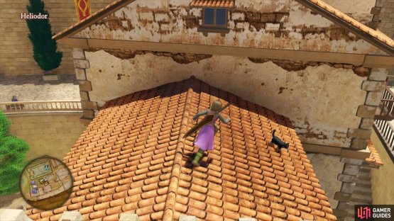 use the ladder in the Item shop to reach the roofs and rescue the poor cat.