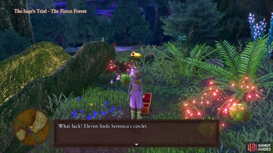 Ignore the portals to find the first piece of Serena’s best armor set