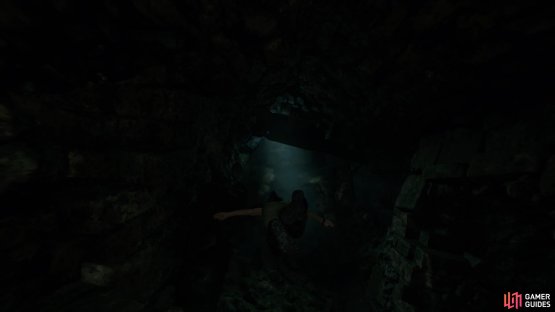 Fast-swim through the tunnel