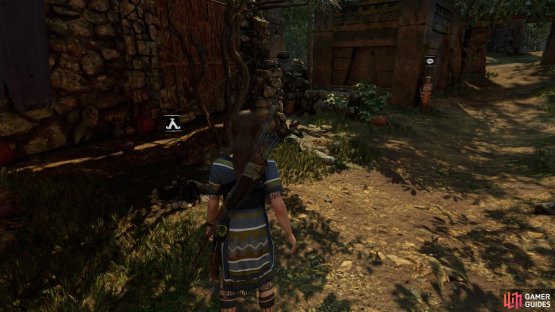 Paititi Base Camp