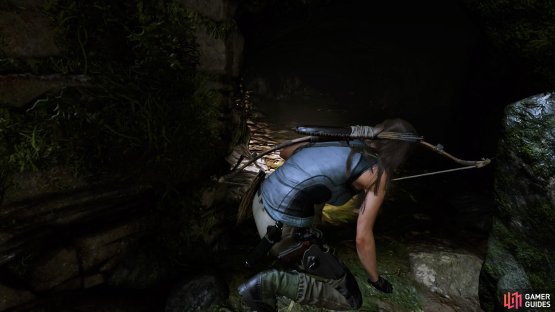 Crouch through the tunnel to the next room