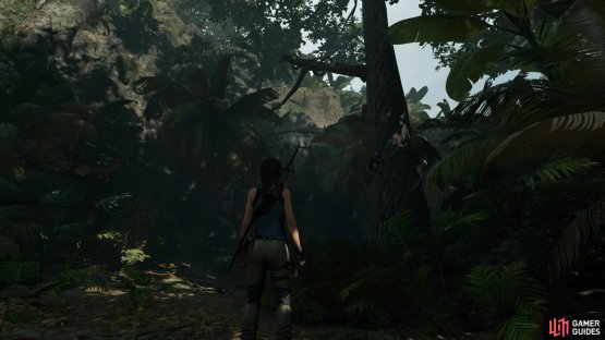 Climb the tree to jump to the ledge