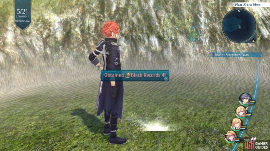 Head to the Northeast of Ursula Road 2 to find a shiny spot which contains Black Records 2