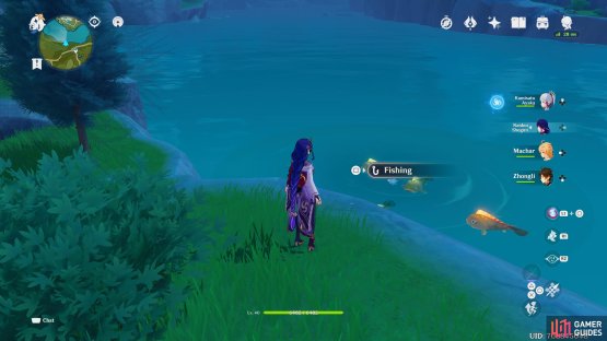 Here is a visual of the North Springvale fishing point.