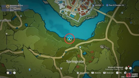 The North of Springvale Fishing Point can be found northwest of the Springvale waypoint.