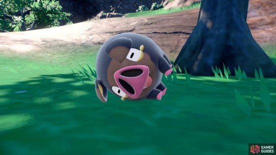 Here is another Lechonk, for good measure. (Credit: The Pokémon Company)