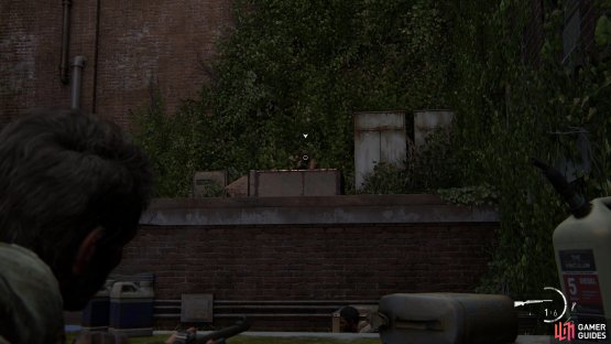 Take out the guards on the roof