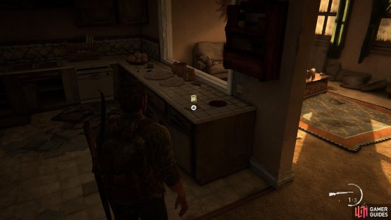 Grab the Molotov Construction Training Manual from the kitchen