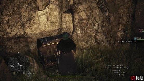 then take a roundabout route up to a ledge overlooking the garden chamber to find another chest, this one containing a Ring of Percipience.