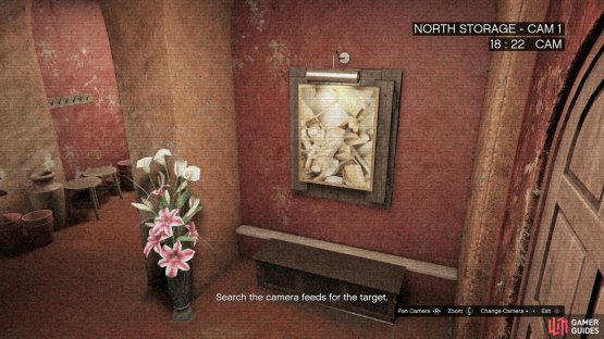 Look in North Storage - Cam 1 for a Painting