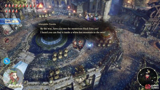 After getting the Lustrous Bell, talk to the Ailurophilic Traveler to learn where a rare cat may be found,