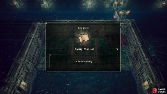 then claim the Diving Manual out of a big red chest.