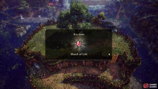…and in some cases, Shards of Life!