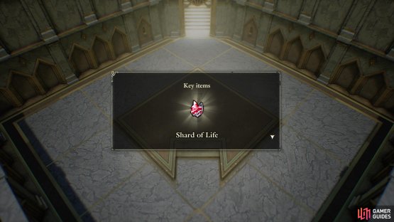 to obtain a Shard of Life at the end!