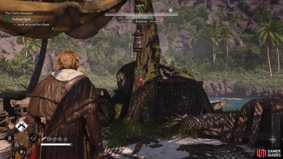 Examine a scratched-up tree,